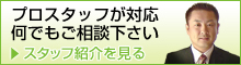 �v�� �X�^�b�t
