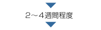 2�`4�T�Ԓ��x