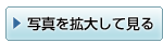 �ʐ^���g�債�Č���